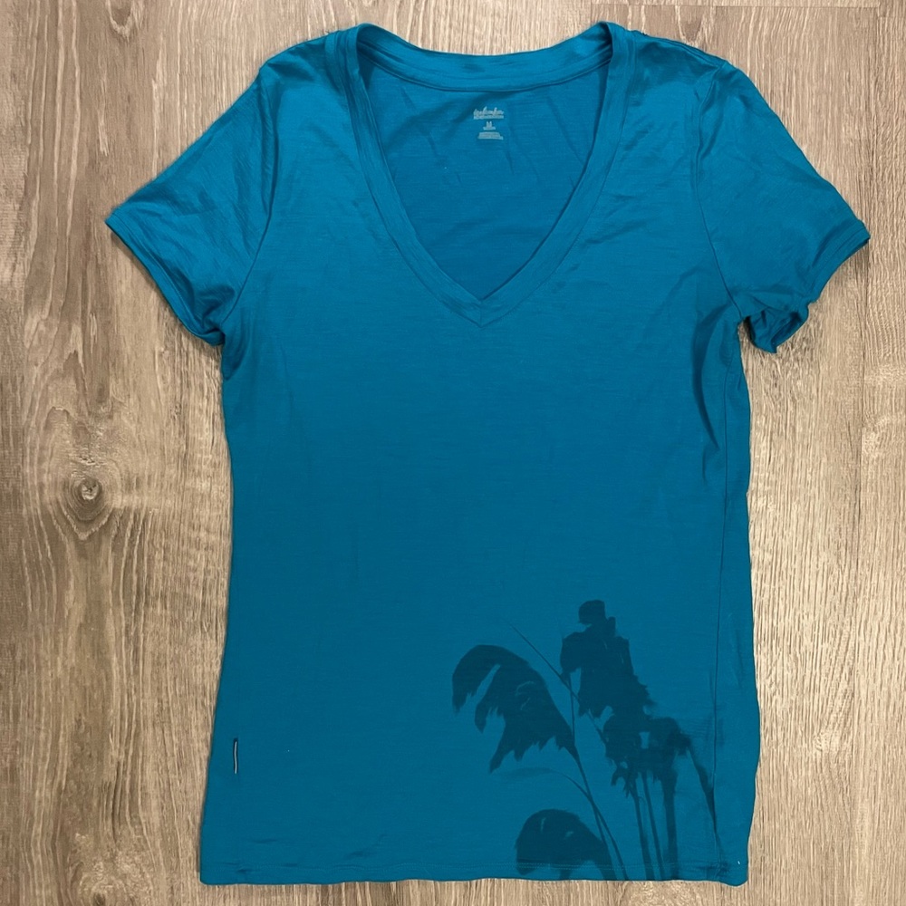 ICEBREAKER Merino T-shirt / Top